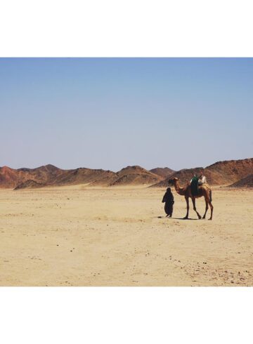 thomas cook el gouna